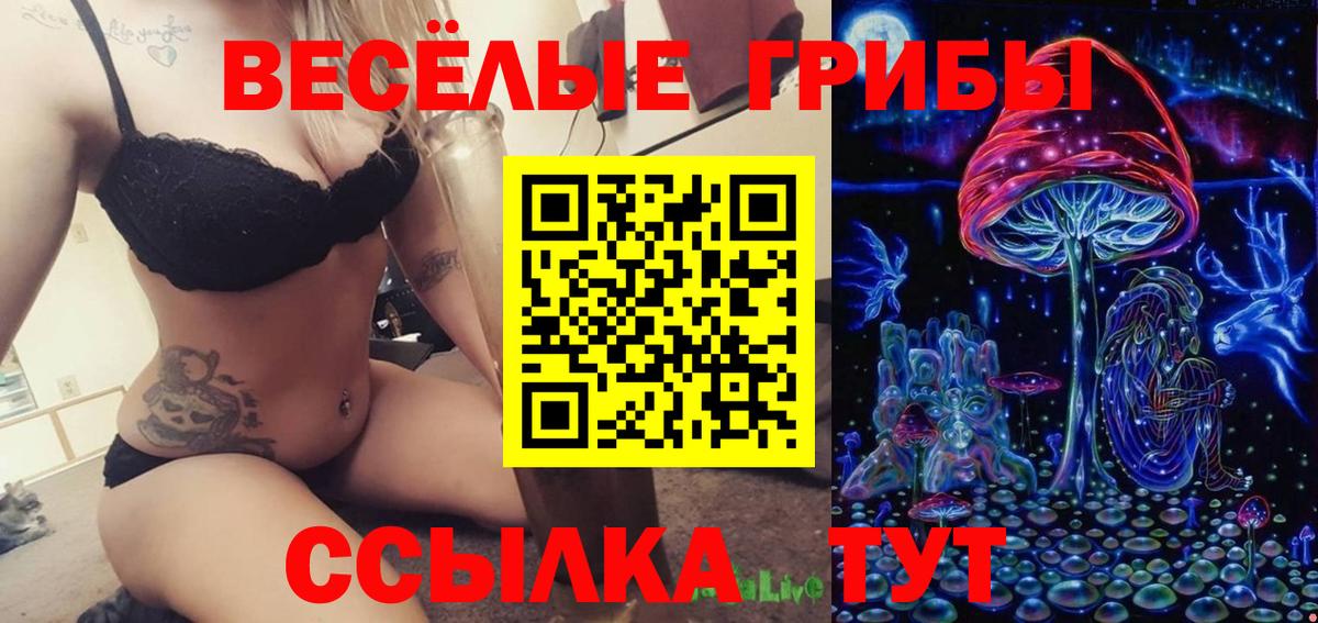 Псилоцибиновые грибы GOLDEN TEACHER Кумертау