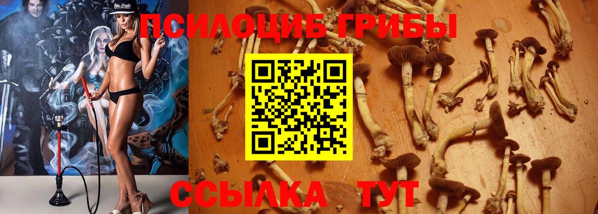 Кумертау  Псилоцибиновые грибы Magic Shrooms  цены наркотик  Вход с VPN 